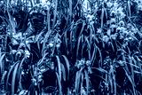 preview cold