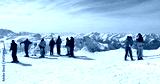 preview cold