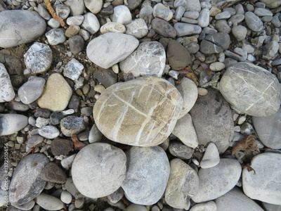 image to crop
