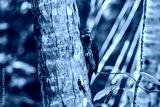 preview cold