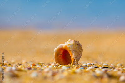 image to crop