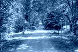 preview cold