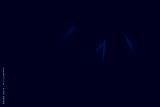 preview cold