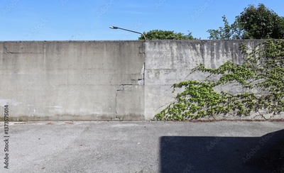 image to crop
