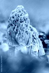 preview cold