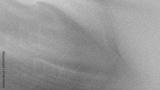 preview bw