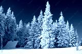 preview cold