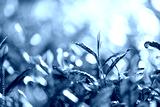 preview cold