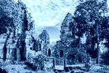 preview cold