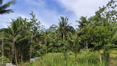 image to crop