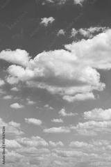 preview bw