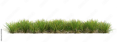 image to crop
