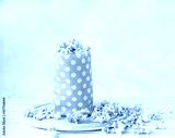 preview cold