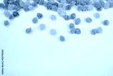 preview cold
