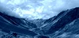 preview cold