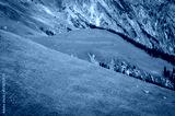 preview cold