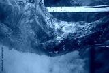 preview cold
