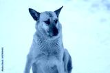 preview cold