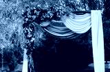 preview cold