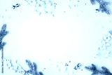 preview cold
