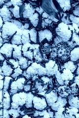 preview cold
