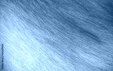 preview cold