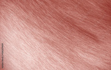 preview original