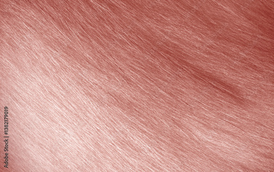 image to crop