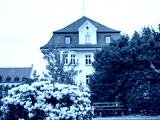 preview cold