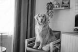 preview bw