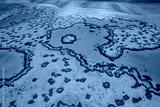 preview cold
