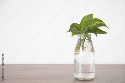 image to crop