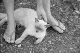 preview bw