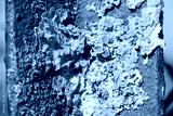 preview cold