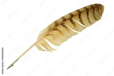 image to crop