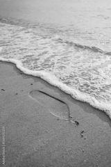 preview bw