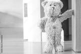 preview bw