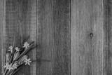 preview bw
