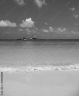 preview bw