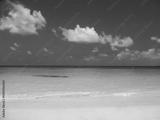 preview bw