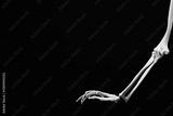preview bw