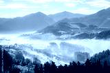 preview cold