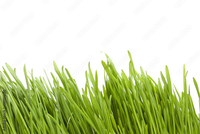 image to crop
