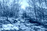 preview cold
