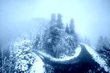 preview cold
