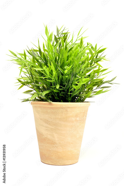 image to crop