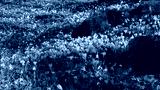 preview cold