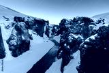 preview cold