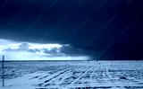 preview cold