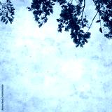 preview cold